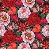 Cameo Appearance - Digital