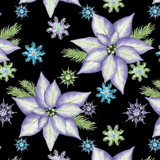 *Aurora Flurries - Digital