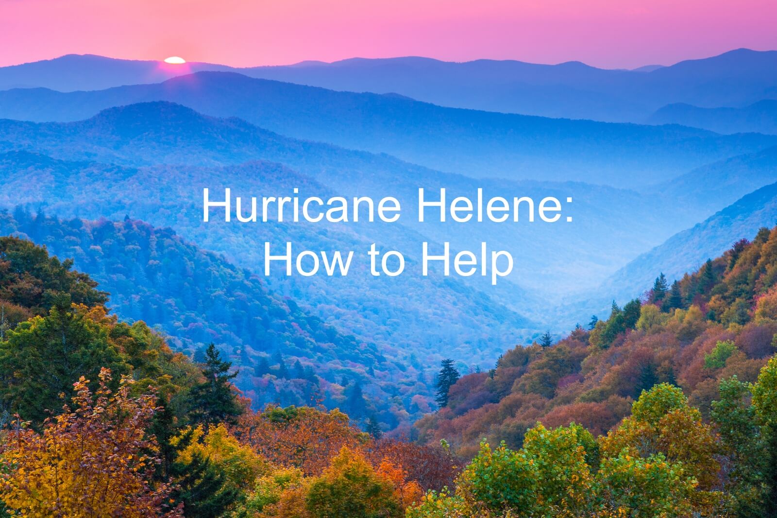 How to Help Those Affected by Hurricane Helene