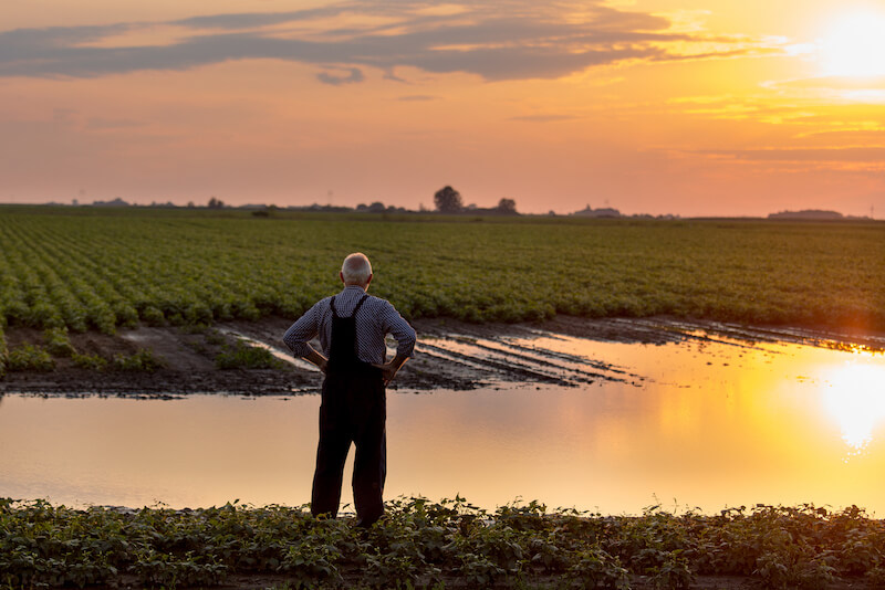 8 Iconic Southern Words & Their Likely Origins