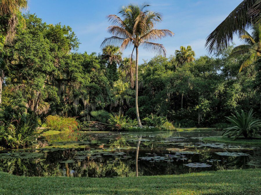 Main pond and lots of green trees at McKee Botanical Gardens