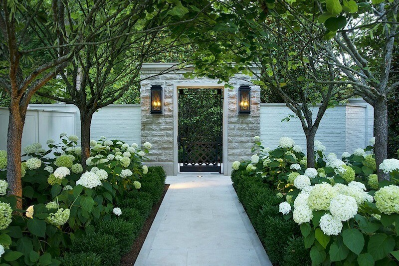 Insider Advice: Where to Splurge and Save on Landscape Design