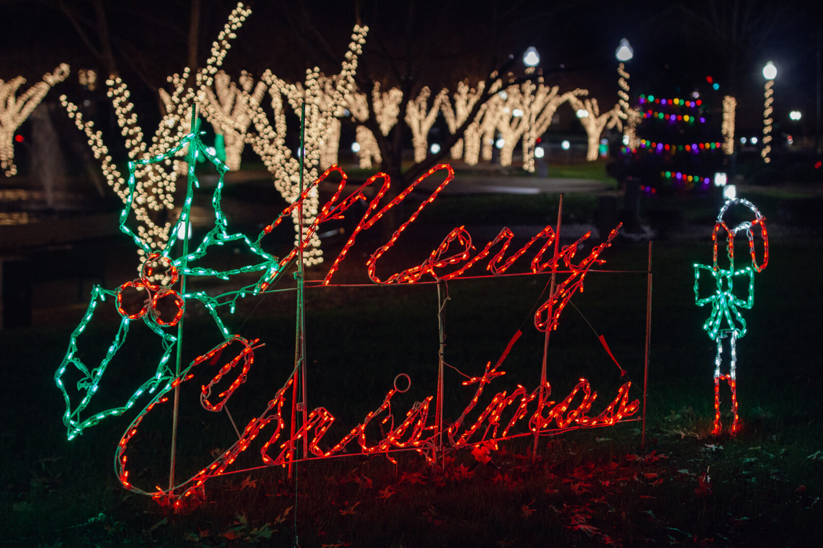 Experience a vibrant Christmas lights display in Alabama, featuring "Merry Christmas" in red, with a shimmering reindeer outline and a festive candy cane. Lit trees adorn the background, creating the perfect night setting for one of your top holiday destinations.