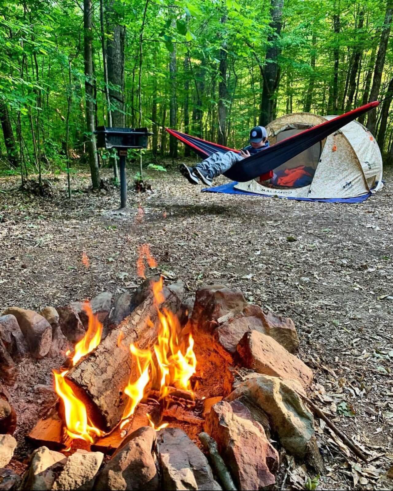 A serene campsite nestled in the forest. A cozy tent, someone lounging peacefully in a hammock, and a firepit crackling with burning logs under the enchanting canopy of trees.