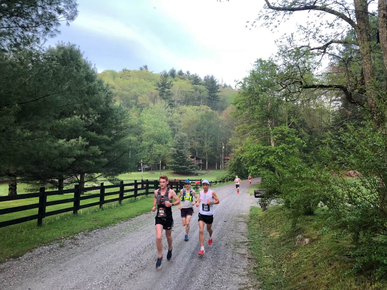 Runners on a gravel path surrounded by trees and greenery, participating in one of the best spring marathons on a cloudy day.