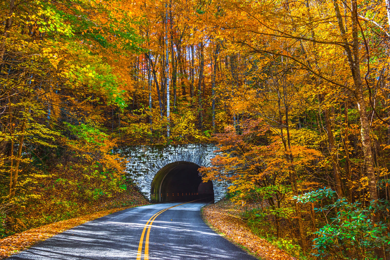 5 Southern Leaf-Peeping Destinations: Where to Find Colors This Fall