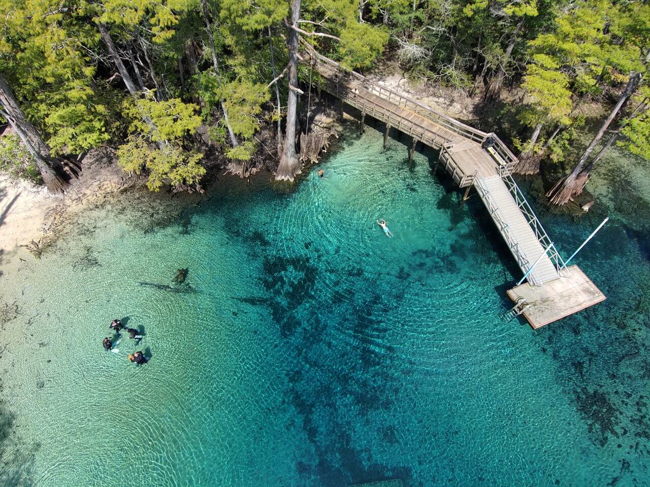 Aerial view of the wooden boardwalk on 30A over clear blue water where swimmers and scuba divers spend time on the water near a tree-lined shore.