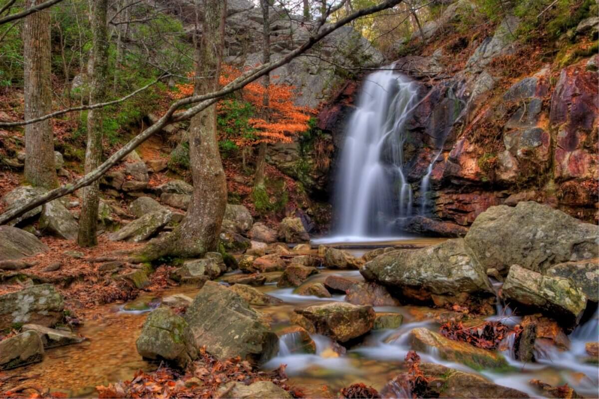 10 Best BHAM-Area Destinations for Fall Foliage