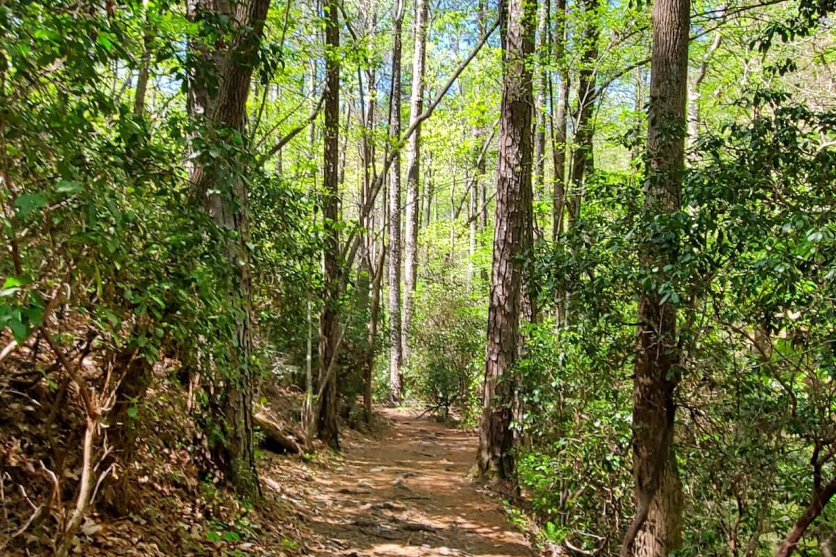 The Best Birmingham Trails and Greenways