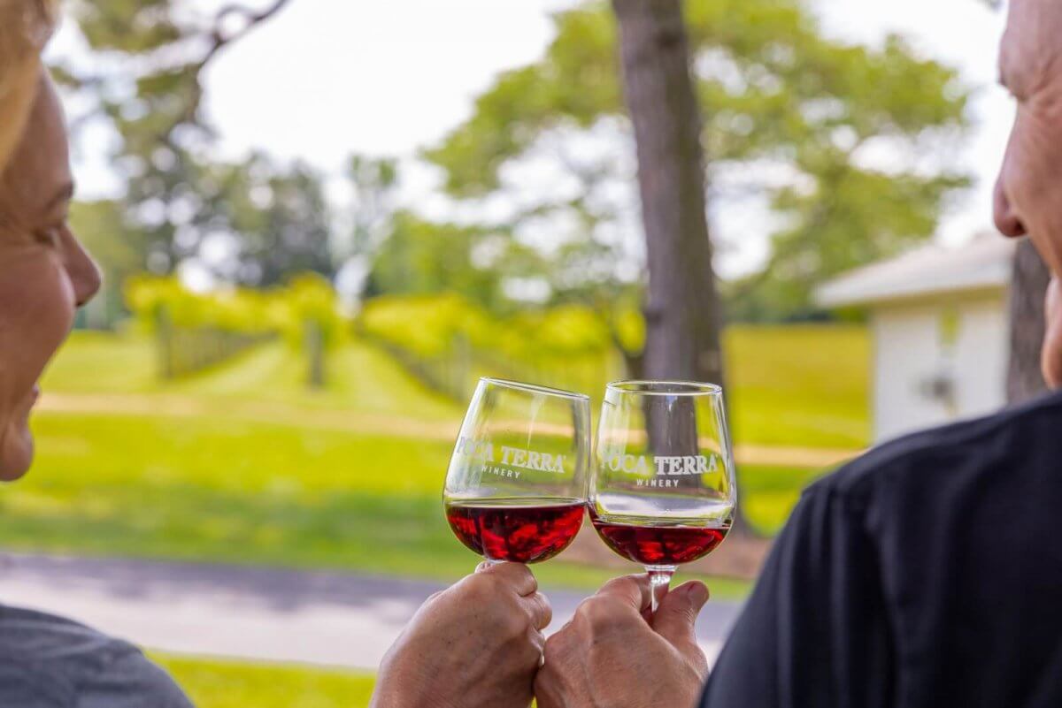 Why You Need to Visit the Western Kentucky Wine Trail