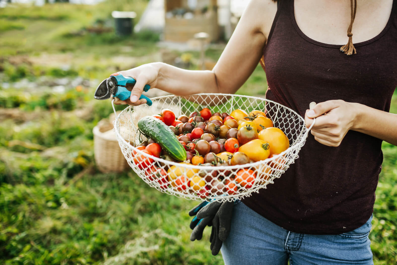 Your Guide to Memphis Community Gardens