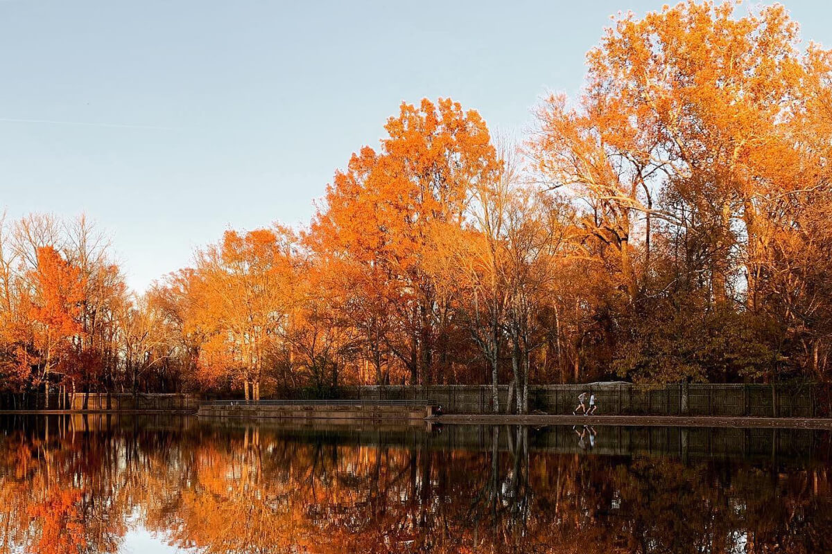 Fall in Memphis: 8 Spots to Take in the Changing Leaves