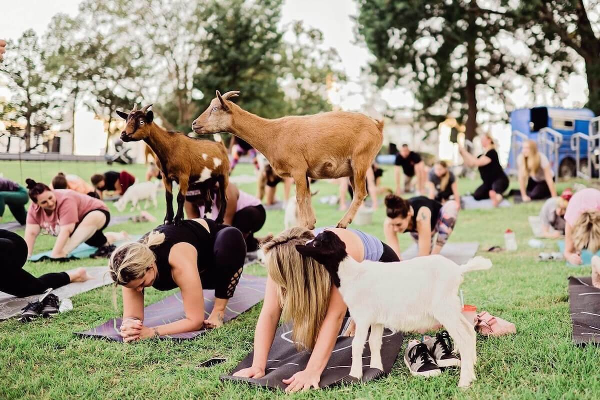 7 Outdoor Workout Classes to Try in Memphis