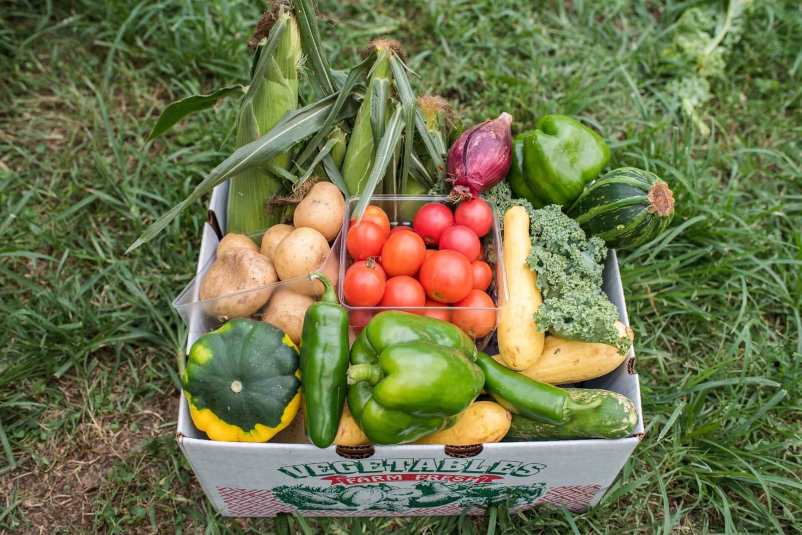 Your Guide to Nashville-Area CSA Programs