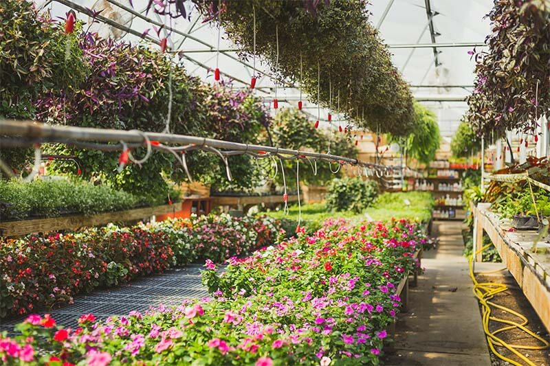 Nashville’s Best Garden Centers