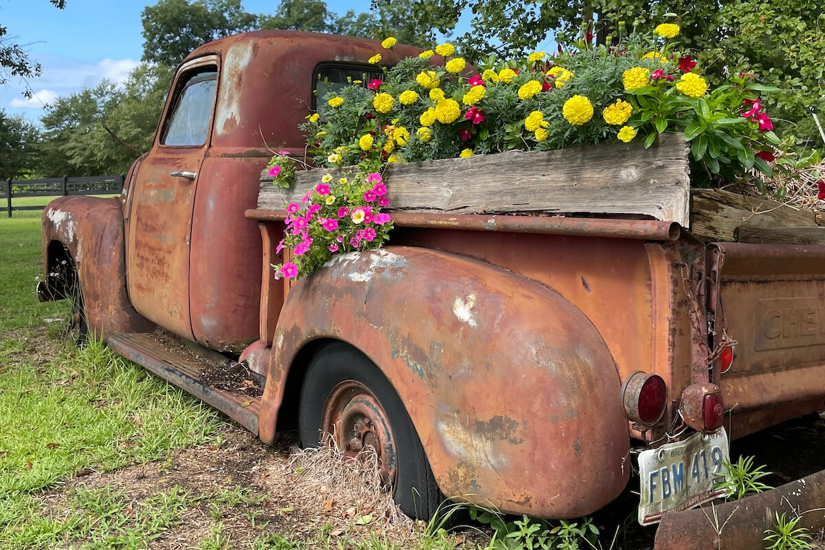 Thoroughbred Country, SC: So Much More Than Horses!