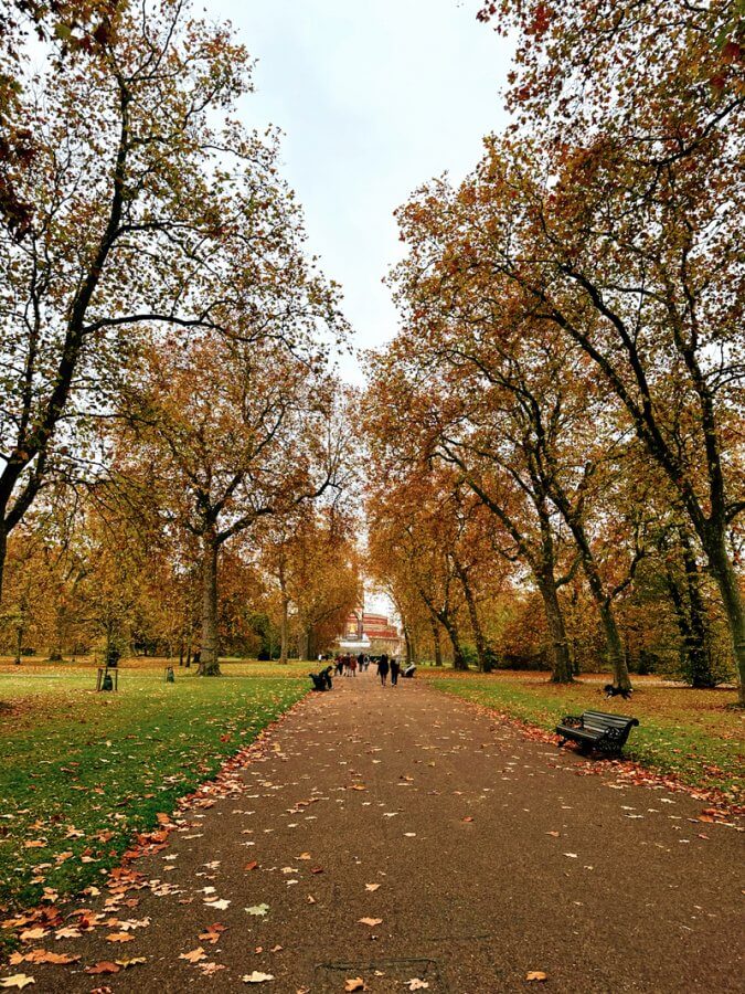 A leaf-strewn path in London, lined with tall autumn trees leads to a distant building, a few people strolling along and a cozy bench on the right.