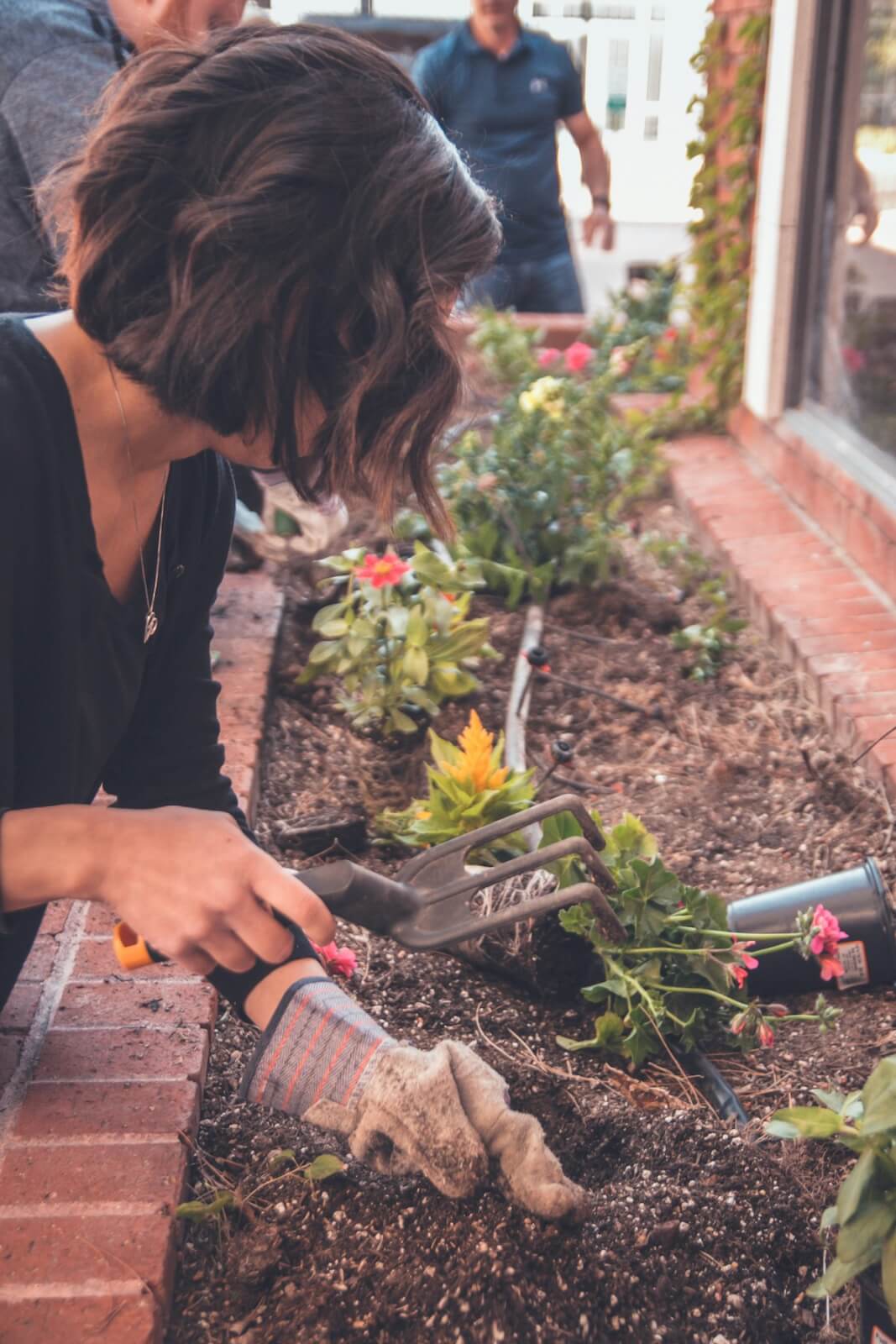 A person with gloves uses a hand rake to plant flowers in a garden bed near a window, embodying the Blue Zones' ethos of living longer, healthier lives. Others tend to their own tasks in the background, creating a harmonious scene.