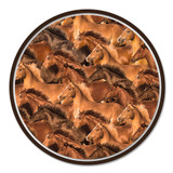 Spurs & Spirit - Digital