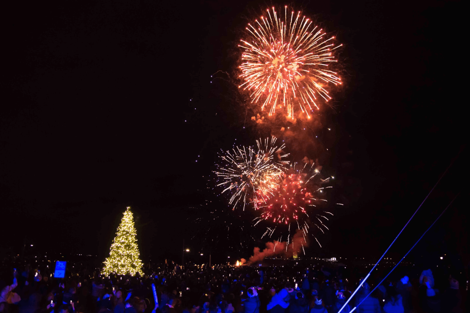 Fireworks explode in the night sky over a large, illuminated Christmas tree as a crowd eagerly anticipates the New Year's Eve countdown below.